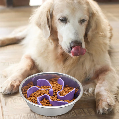 Steel bowl with purple insert, golden eating