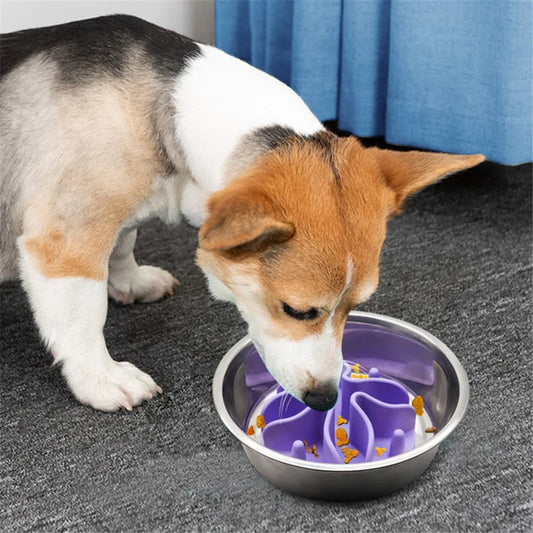 Suction Slow Feeder Bowl for Dogs – Anti-Gulp Puzzle Dish