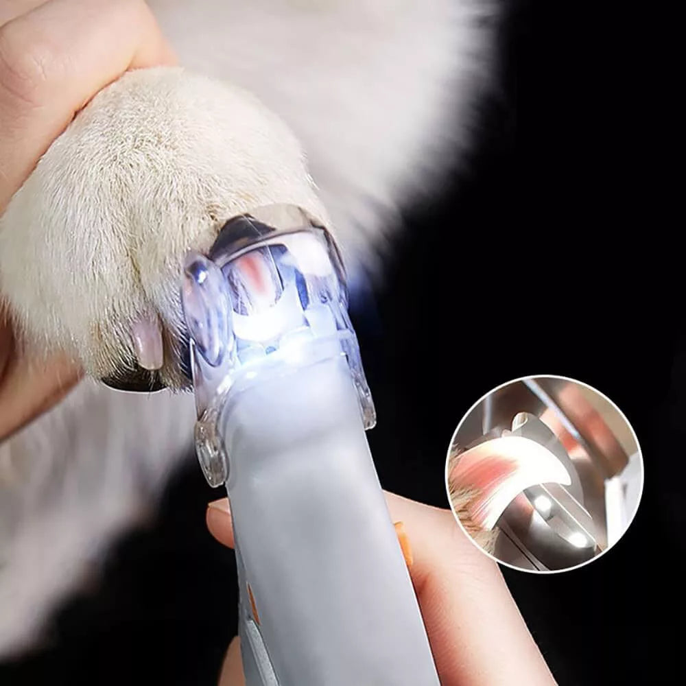 LED nail clipper trimming white paw